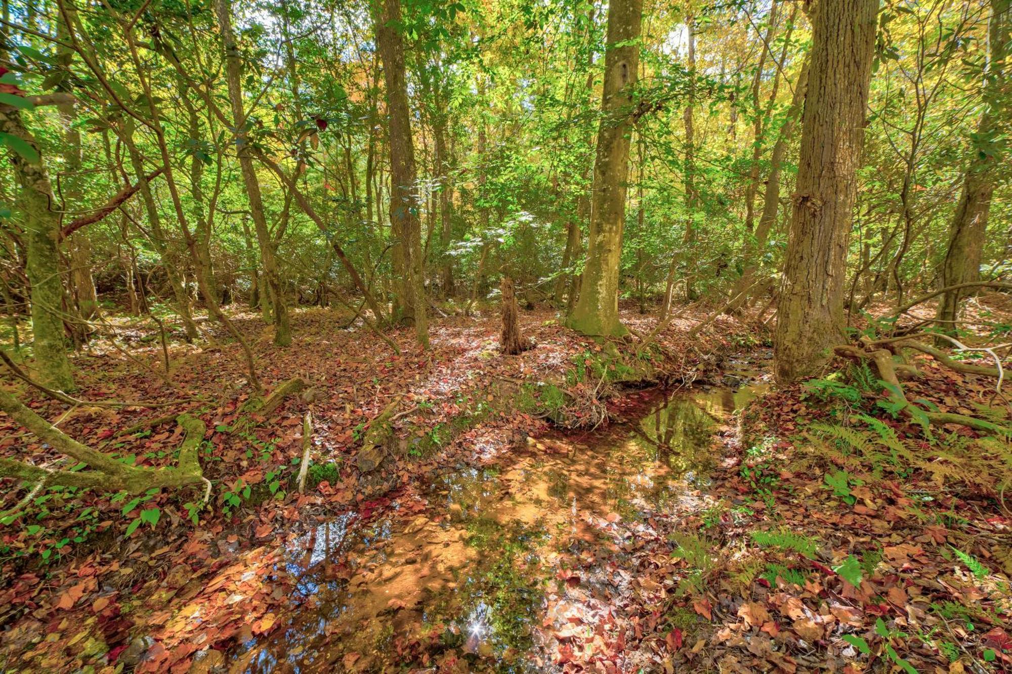 Ferny Creek Cottage Blairsville Ngoại thất bức ảnh